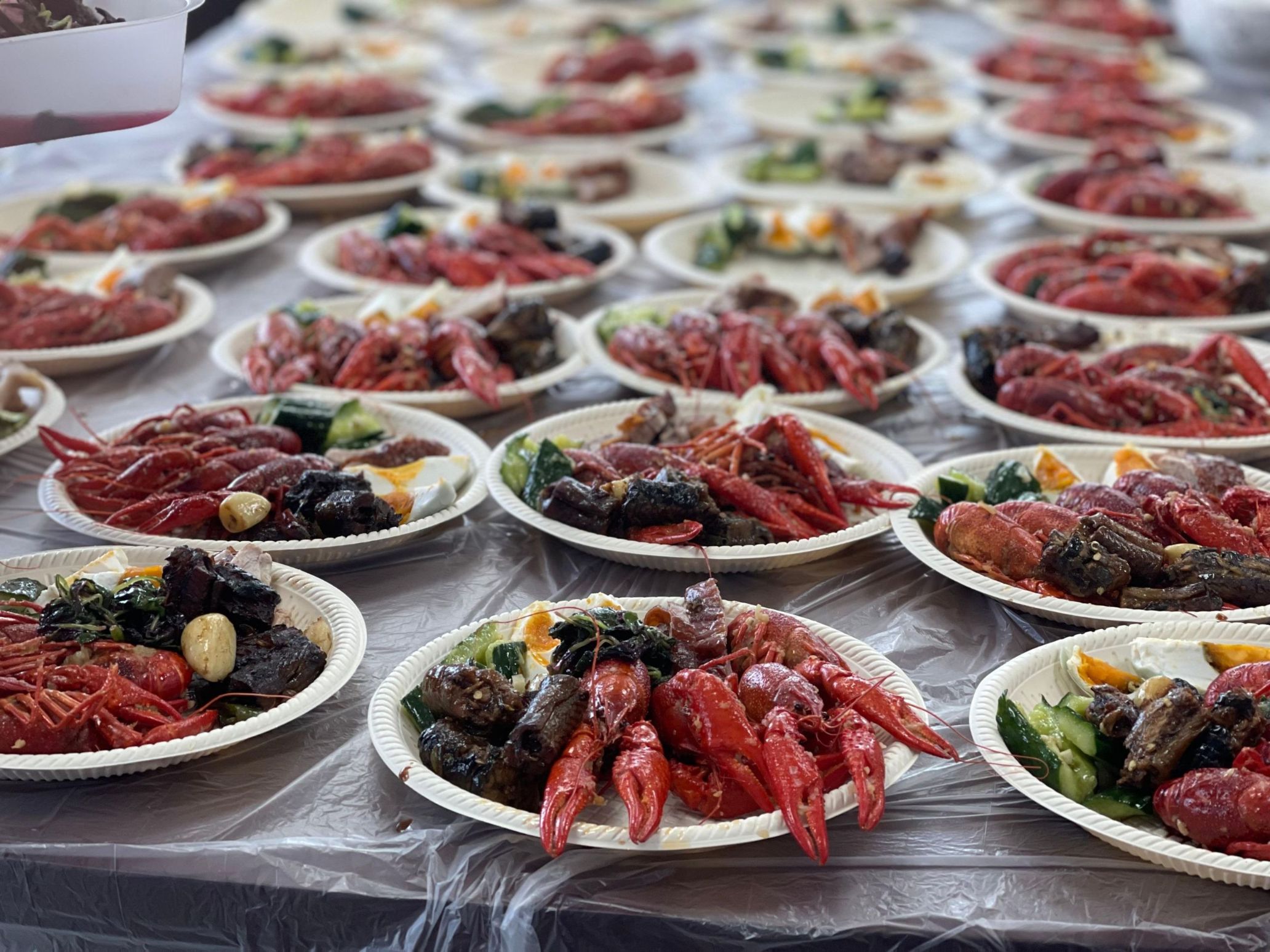 d00f6c9573bfbc1f5dc0c3e602556b42